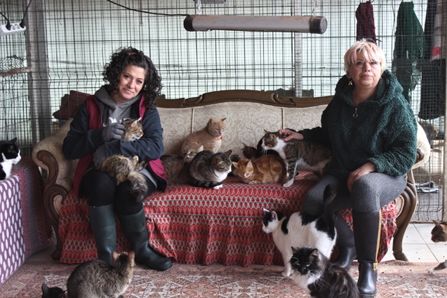 Bursa Da Hayvansever Kadin Tum Gelirini Sokak Hayvanlarina Harciyor