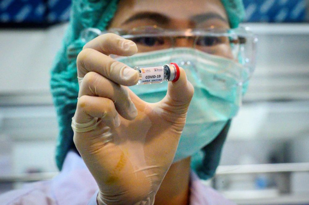 tayland maymun koronavirüs aşısı