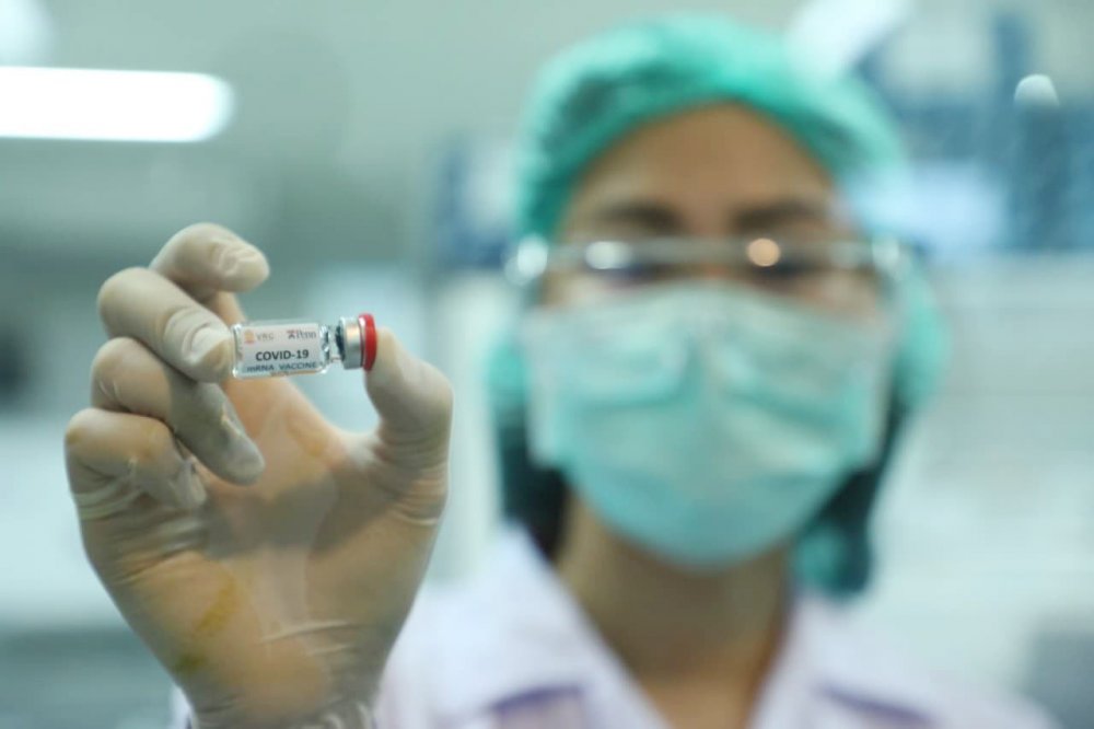 tayland maymun korona aşısı