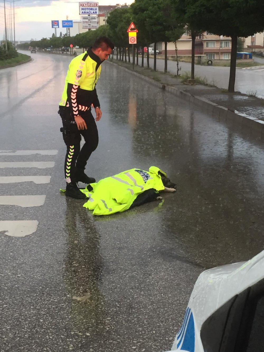 yozgat sorgun otomobil köpek trafik polisi Burak Okusal mont yağmur